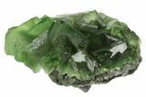 Green Fluorite Crystal Cluster - China #125312-1